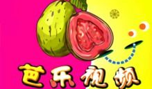 芭乐视频,揭秘热门短视频背后的魅力与影响力